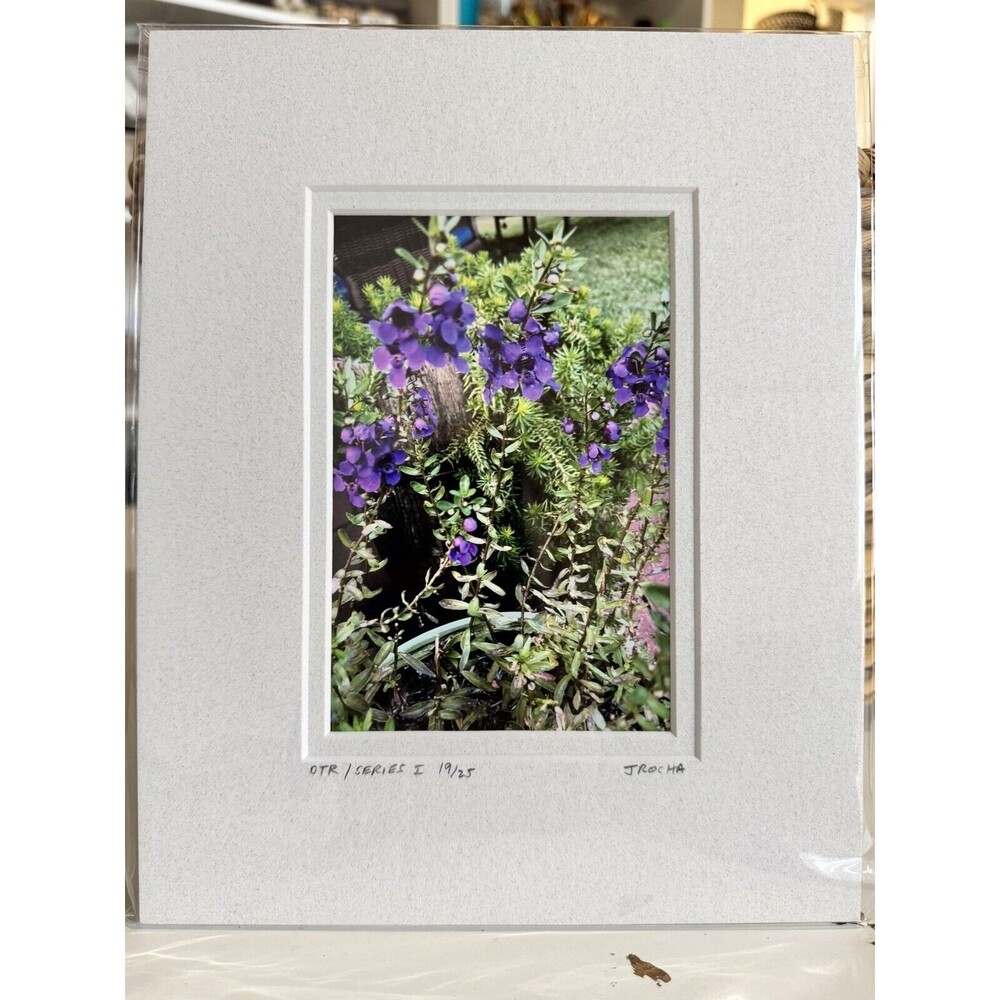 Original Photography 5X7 Picture Double Matted For 8X10 Frame